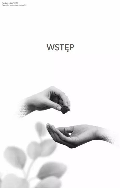 Mądra wdzięczność. Jak odnaleźć wartość w sobie i świecie