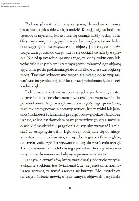 Mądrość lęku. Jak zamienić zmartwienia i natrętne myśli w wewnętrzną siłę