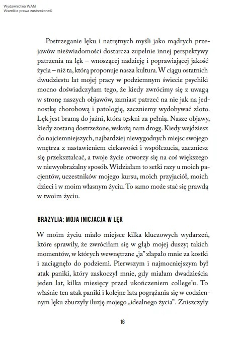 Mądrość lęku. Jak zamienić zmartwienia i natrętne myśli w wewnętrzną siłę