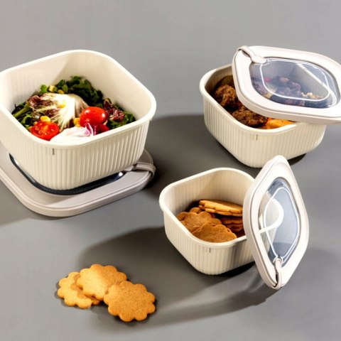 Pojemnik do żywności Micro Line 600 ml