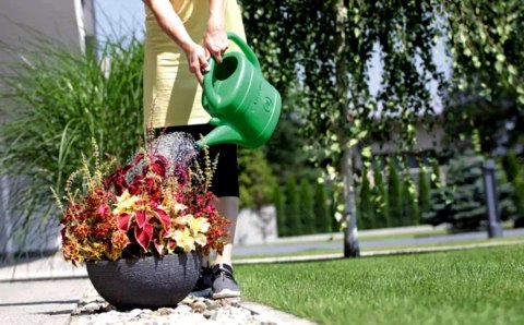 KONEWKA SPRING ZIELONA 8L