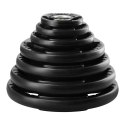 TOK02 PRO TALERZ OLIMPIJSKI OGUMOWANY 2.5 KG HMS